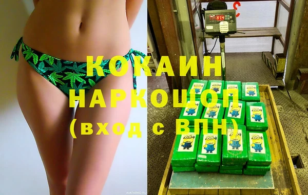 гашик Алексин