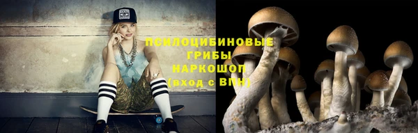 гашик Алексин