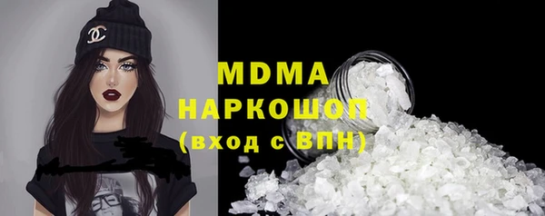 гашик Алексин