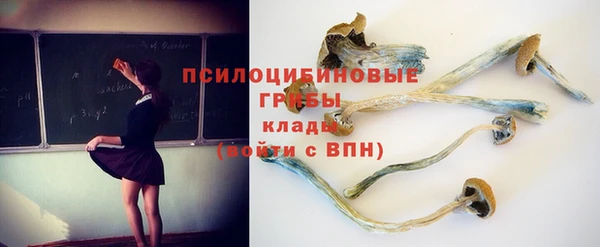 гашик Алексин