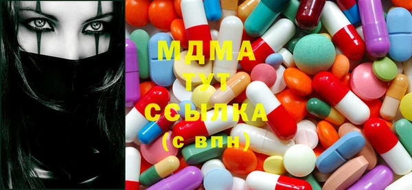 гашик Алексин