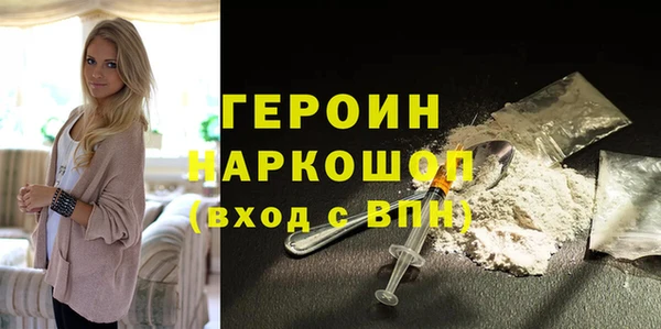 гашик Алексин